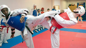 Image result for Elite Force Martial Arts