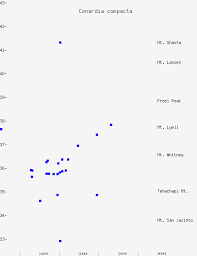 Attēlu rezultāti vaicājumam “Conardia compacta”