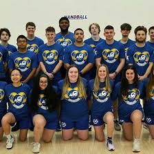 Image result for Ashford Tanners Handball Club