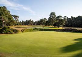 Image result for Hindhead Golf Club
