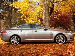 Image result for BRG 2012 Jaguar