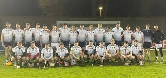 Image result for University Of Limerick Gaa Hurling Club
