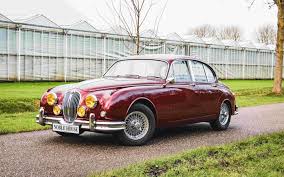 Image result for Fern Gray 1976 Jaguar