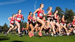Image result for Westerlands Cross Country Club
