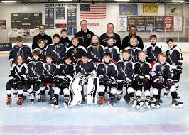 Image result for Streatham Youth Ice Hockey Club