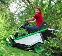 Image result for etesia tehron