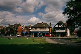 Image result for Shalford F C