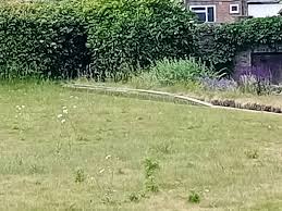 Image result for G W Staniforth Bowls Club