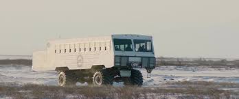 Image result for tundra buggy