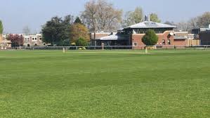 Image result for Old Paulines Cricket Club