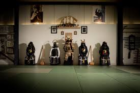 Image result for Bujinkan Truro Dojo