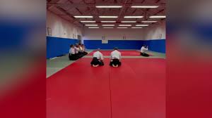 Image result for Southport Muto Aikido Club