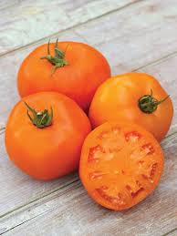 Afbeeldingsresultaat voor amana orange beefsteak tomato