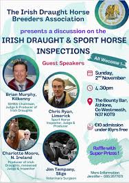 Image result for Limerick Draughts Club