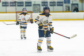 Image result for Ash Avalanche Skater Hockey Club