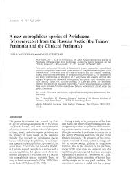 Attēlu rezultāti vaicājumam “Perichaena depressa sessile”