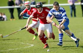 Image result for World of Shinty