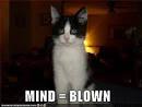 mind is blown