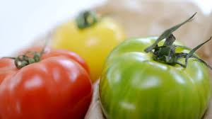 Image result for Tomate