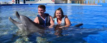 Image result for Dolphins Sheltered & Disabled Swim Club
