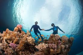 Image result for Crystal Freedivers (London)