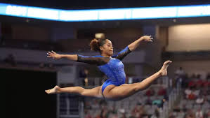 Image result for Blakey Gymnastics Club