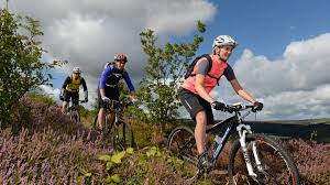 Image result for Berks On Bikes Mountain Bike Club