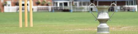 Image result for Wimbledon Cricket Club