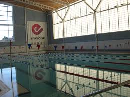 Image result for York University Pool Club