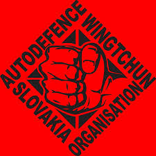 Image result for Alton Autodefence Wing Tchun