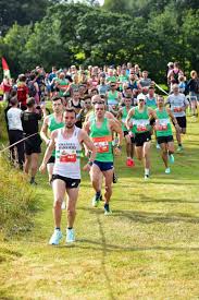 Image result for Abergele Harriers