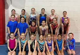 Image result for Harlequin Gymnastics Club