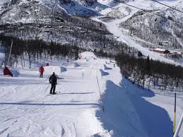 Image result for British Norwegian Ski Club