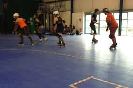 Image result for Tiger Bay Brawlers Roller Derby Team