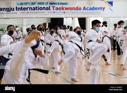 Image result for International Tae Kwon Do Academy