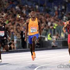 Image result for Tobogo