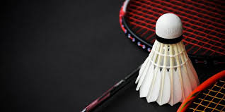 Image result for Frome Badminton Club