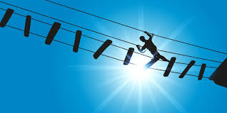 Image result for PONT DE SINGE