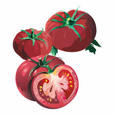 Afbeeldingsresultaat voor brandywine cherry tomato