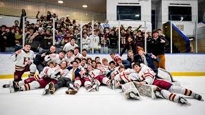 Image result for Havering Skater Hockey Club