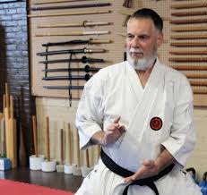 Image result for Seiki Juku Karate Organisation