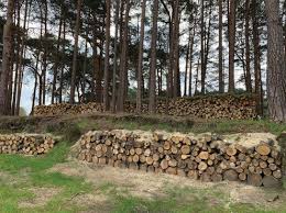 Image result for Wentworth Tennis & Health Club