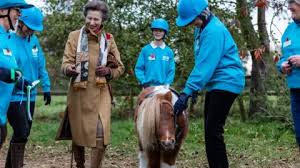 Image result for Riding For The Disabled Association
