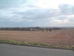 Image result for example