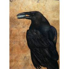 Image result for Merseyside Ravens