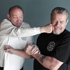 Image result for Somerset Jeet Kune Do