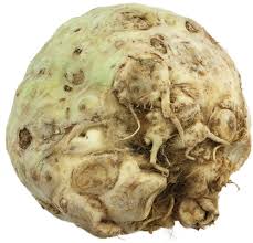 Image result for Sellerie