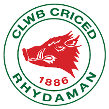 Image result for Bronwydd Cricket Club