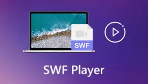 Image result for SWF