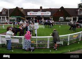 Image result for Sandown Sports Club